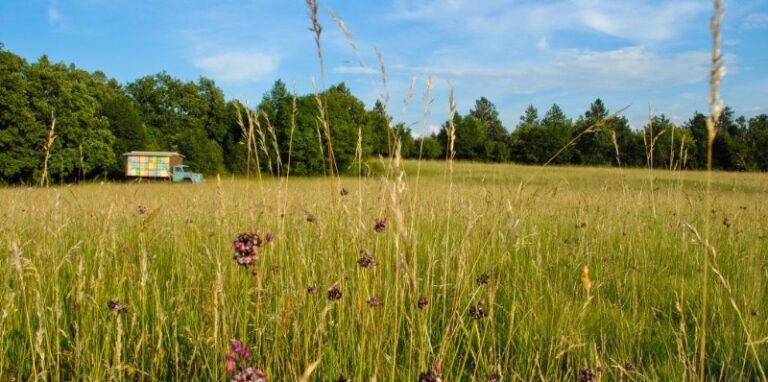 Pri rabi sredstev za varstvo rastlin upoštevajte dobro kmetijsko prakso 2012 8 FOTONATECAJ 2012 11