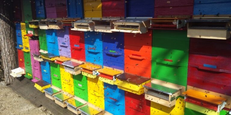 Če hočeš delati za čebelarje moraš biti čebelar 20140307 120941 15