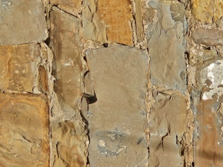 Uničenje gnezd orientalskega sršena v starem delu mesta Koper 20250908 091210 1