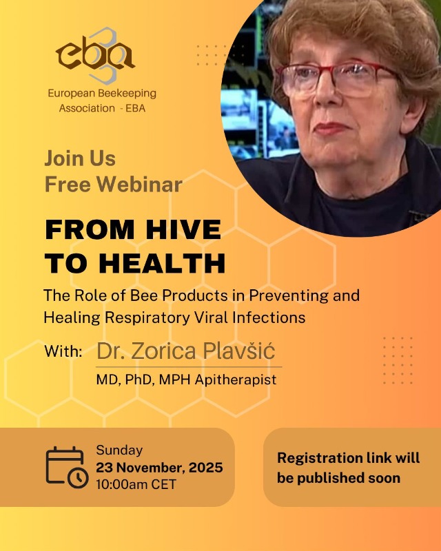 BREZPLAČNO SPLETNO PREDAVANJEV NEDELJO 560535386 122178275732069364 2293728023208809575 n