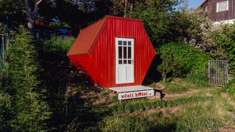 Priložnosti, ki jih ponuja apiturizem DES 1