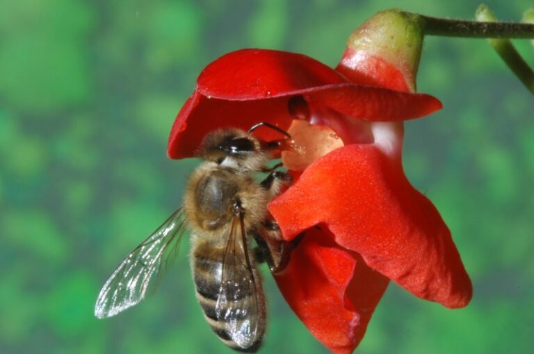 ​Program ČZS oblikujmo skupaj – 1. »debatno« popoldne na ČZS DSC 0043 copy3 4