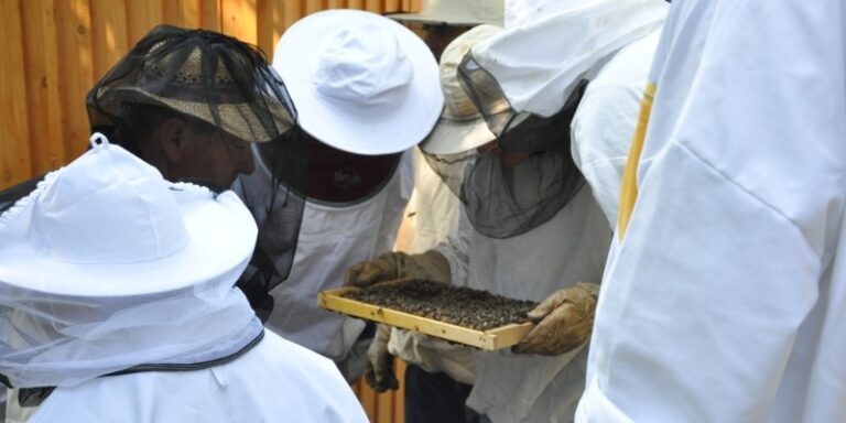 Izobraževanja s področja zdravstvenega varstva čebel. DSC 0080 31
