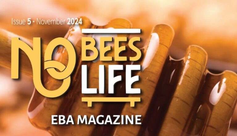 Izšla je 5. številka EBA MAGAZINA EBA MAGAZINE NO 5 FINAL Medium afe33a5f bb44 4a1d 241030 163703