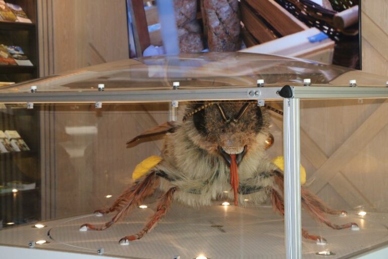 3D čebela je svoj poletni dopust preživela v kampu Šobec IMG 0245