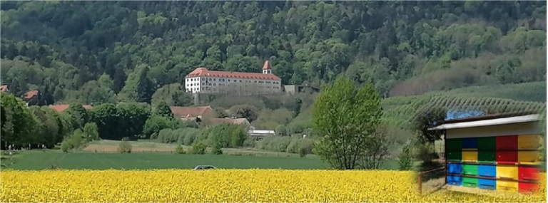 Vabilo čebelarkam in čebelarjem k izpolnjevanju ankete Picture 1