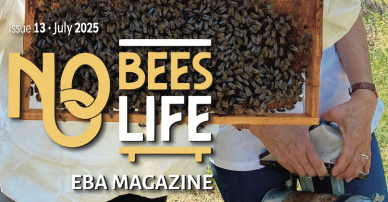 EBA MAGAZIN Screenshot 2025 07 02 at 19.19.34 1085x1536 2