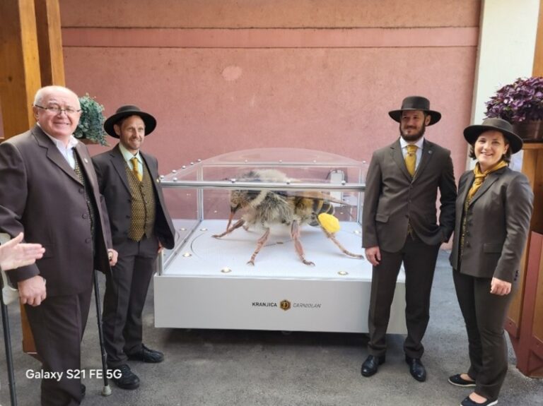 3d čebela na prazniku praženega krompirja v Šenčurju Slika1 63