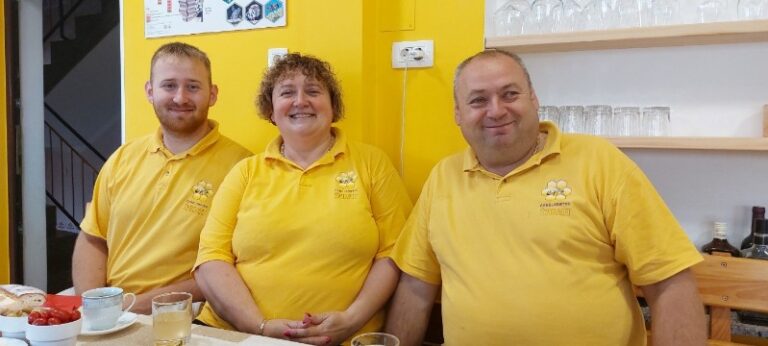 Šesti api-turistični ponudnik, ki je prejel certifikat kategorije Top Bee: Čebelartvo Žvikart, Slovenske Konjice Slika10 1