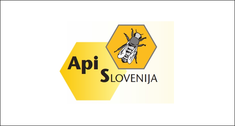 Apislovenija 2025 api 17
