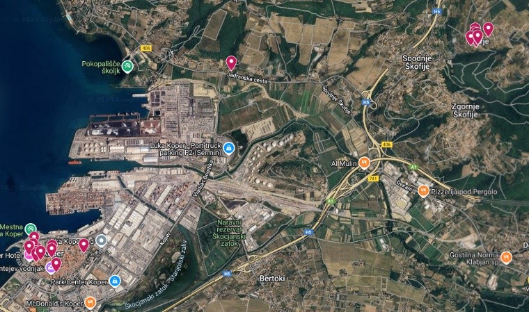 izjava za javnost – Invazivni tujerodni sršeni ogrožajo Slovenijo gnezda os koper 1