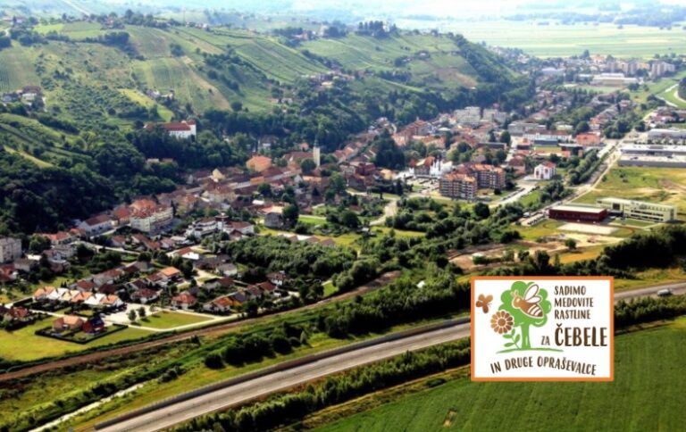 Občina Lendava vsakemu novorojenčku darilo – medovito drevo ledava