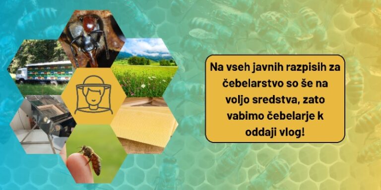 Stanje javnih razpisov v čebelarskem sektorju – na dan 30. junija 2025 naslovna 9