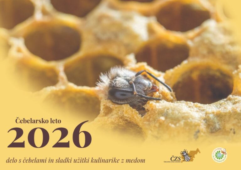 Koledar 2026 naslovnica 104