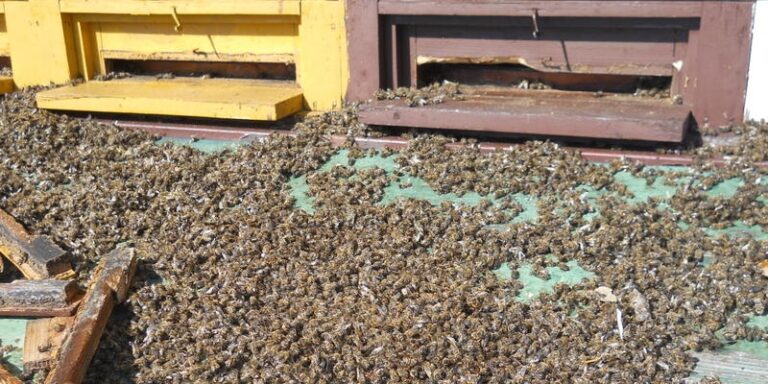 Veljati začenja novi pravilnik o uporabi fitofarmacevtskih sredstev original 9