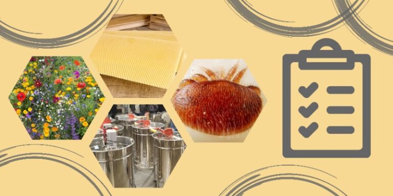 Stanje na odprtih Javnih razpisih do dne 23. 5. 2025 razpis