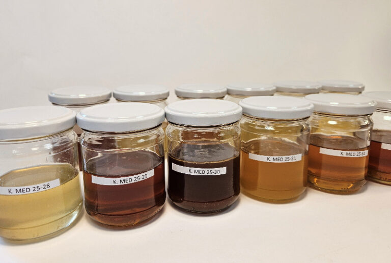 Karakterizacija čebeljih pridelkov 2023-2025 – poročilo vzorci med 2025