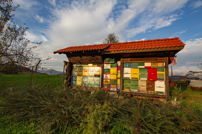 čebelnjak na travniku, na nebu so oblaki