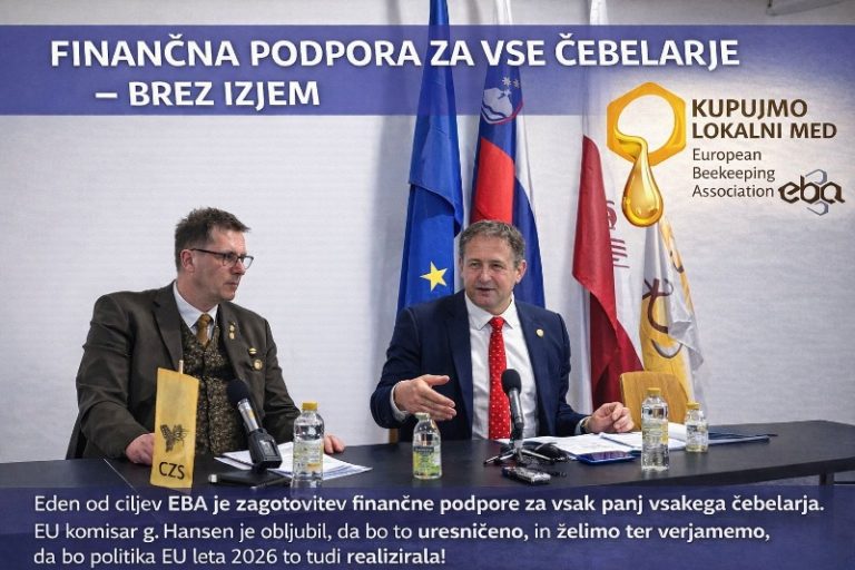 608519661_3097007753804870_3710991625890480797_n (1)