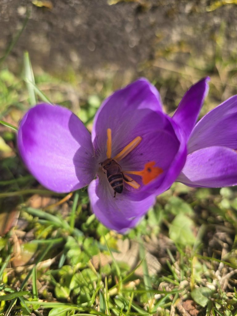 b4e8c36c-85d9-4d8c-b4e1-1ca96b3283a1