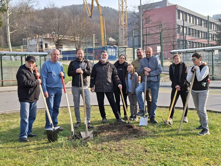 1_Županova+lipa+(1)