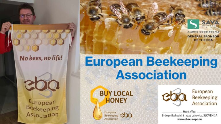 Messenger_creation_95882EFC-44BC-4188-81CC-215EF9F7410F