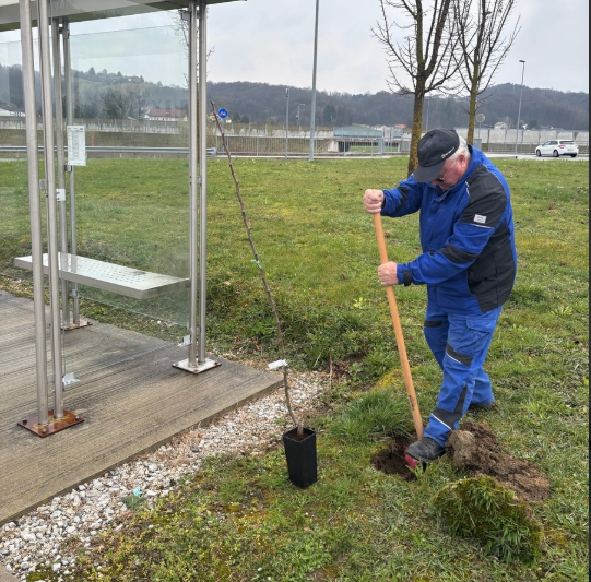 Posnetek zaslona 2026-03-24 073654