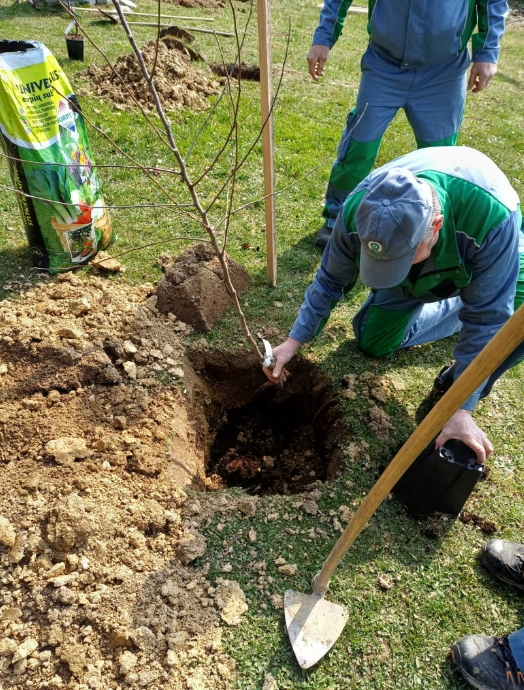 Posnetek zaslona 2026-03-24 114624