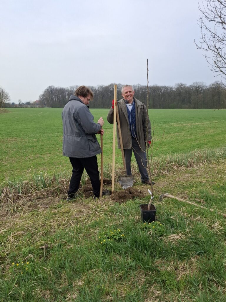 Sajenje medovitih rastlin 13