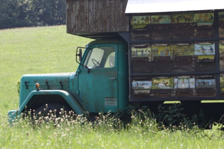 Avtorica fotografije Petra Špehar