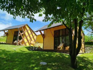 Vabljeni na Apiturizem Kr`bee IMG 20250526 113023 1