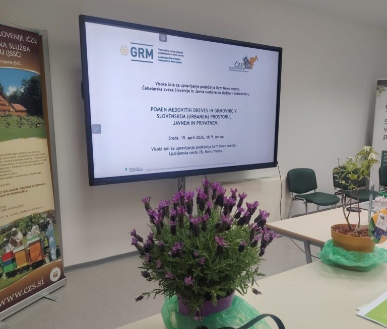 Pomen medovitih dreves in grmovnic v slovenskem (urbanem) prostoru, javnem in privatnem IMG 20260415 091502