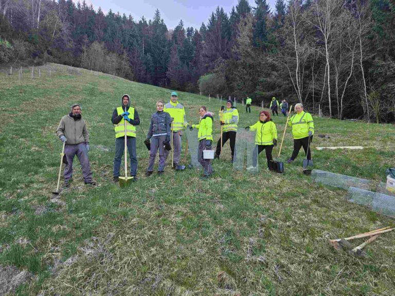 Sajenje medovitih rastlin – skupaj za naravo in čebele (občina Radlje ob Dravi) Resized 20260409 075943 1775719995332 kopija