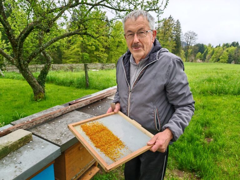 Predavanje ČŠAJ – Pridobivanje cvetnega prahu borstnik 2 960x720 1