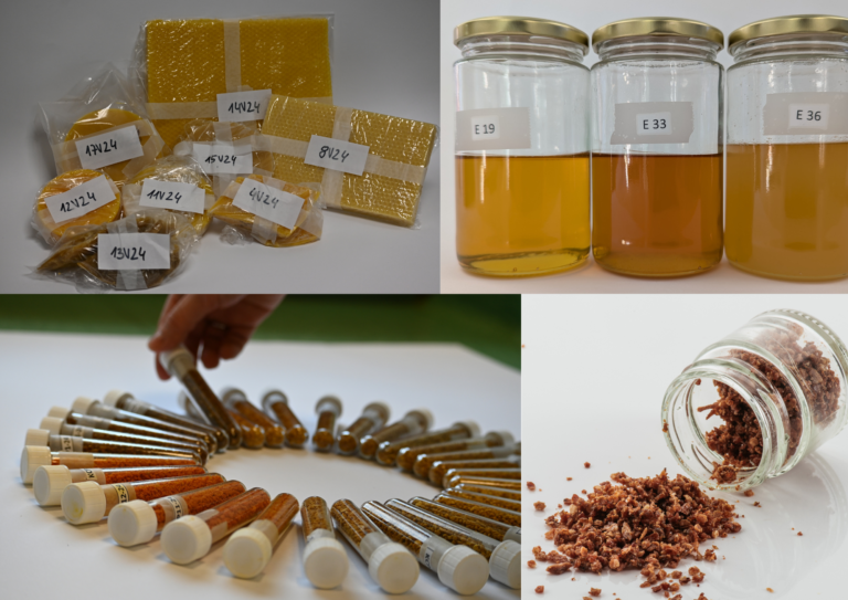 Dokaz da imamo varne in kakovostne čebelje pridelke? Analizni izvid! vzorci za analize