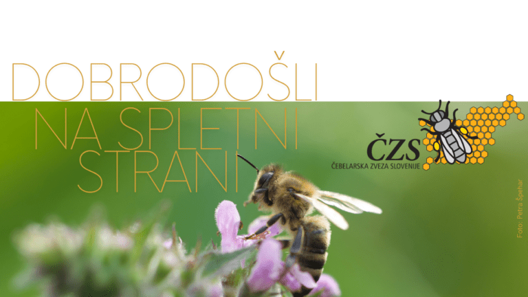 Dobrodošli na naši novi spletni strani! Dobrodosli na spletni strani 3