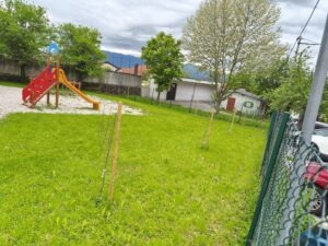 Aktivnosti v občini Postojna 1000001328 002
