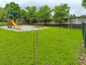 Aktivnosti v občini Postojna 1000001330 002