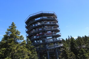 Medena pot med krošnjami Pohorje navdušila male in velike raziskovalce 20260524 083236990 iOS