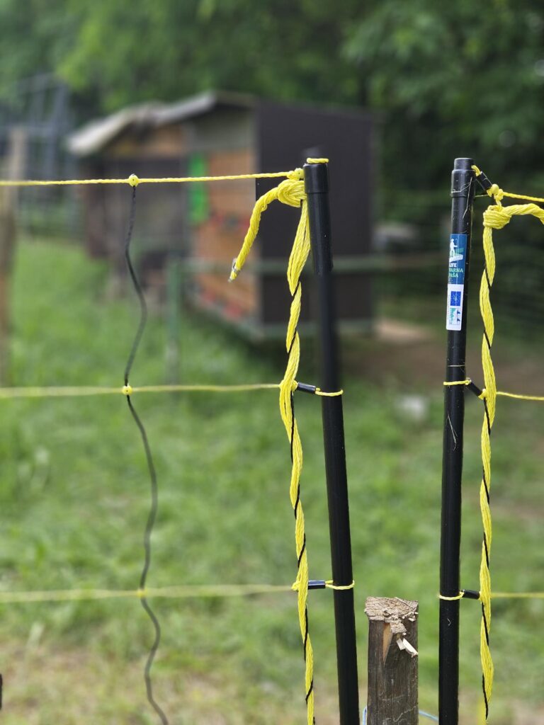 NA VOLJO IZPOSOJA KOMPLETOV ELEKTROMREŽ ZA ZAŠČITO ČEBELNJAKOV NA OBMOČJIH PRISOTNOSTI MEDVEDA 20260604 125837 Flego