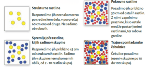Jesen je pravi čas za zasaditev medovitih trajnic Izdelek brez naslova