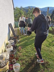Urejanje šolskega vrta Urejanje solskega vrta