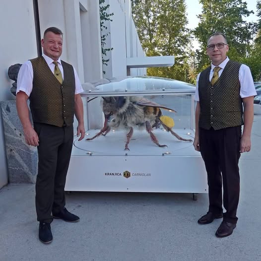 V Šoštanju praznovali pomembne čebelarske jubileje in pripravili 2. družinski čebelarski dan slik