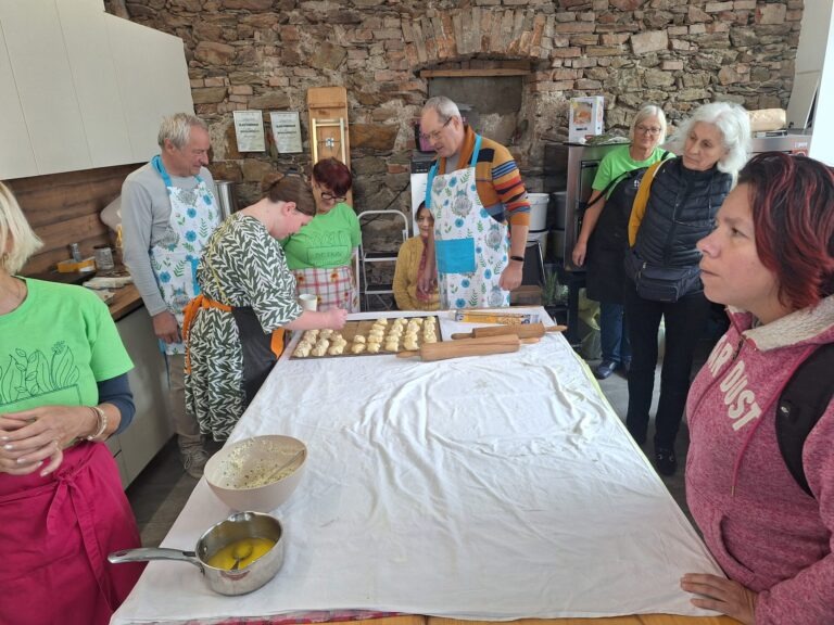Zeliščni dan na Levčevi domačiji povezal naravo, čebelarstvo in zeliščarstvo. 1000028620