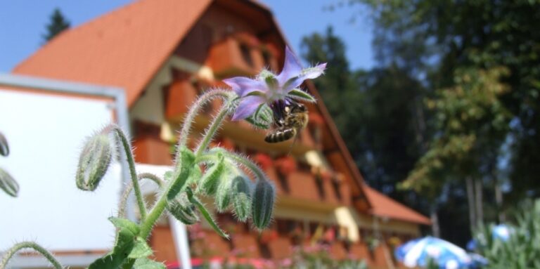 Regijski obisk vodstva Čebelarske zveze Slovenije – Ljubljanska in zasavska regija CEBELE 3