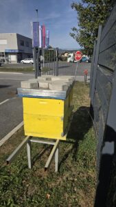 Čebele našle svoj prostor tudi pred podjetjem Konus Konex l 9150461000021142